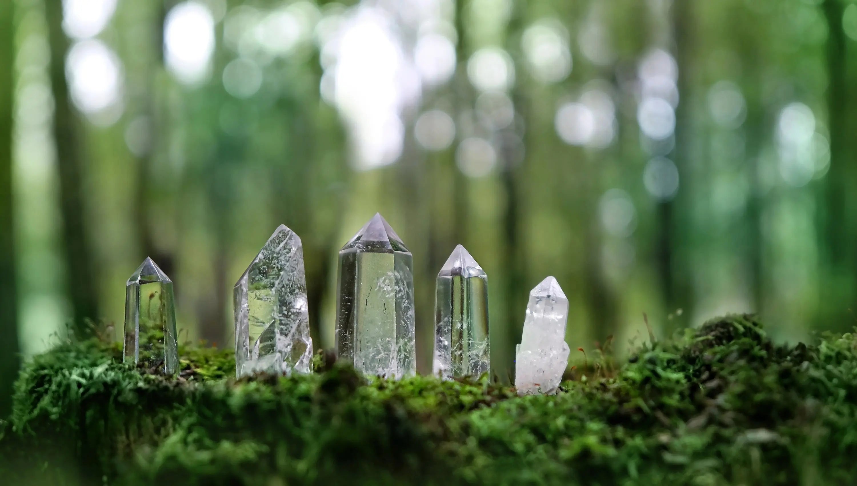 Klare Bergkristalle in einem mystisch wirkenden Wald mit natürlichem grünem Hintergrund. Symbolbild für Heilsteine, spirituelle Rituale, Kristallmagie und energetische Balance im Einklang mit der Natur.